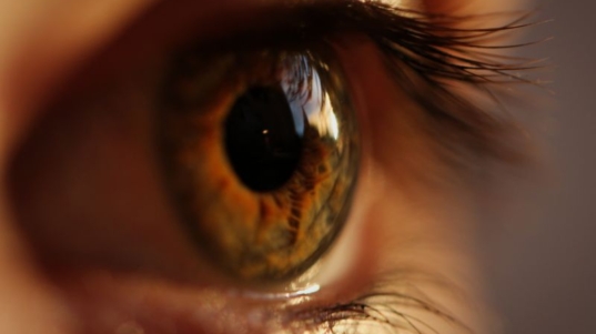 Cirurgias de Retina em Curitiba Tudo o Que Você Precisa Saber