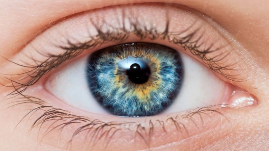 Especialista em Cirurgias Oftalmológicas em Curitiba